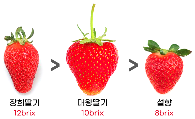 스크린샷 2023-11-22 20.34.34.png