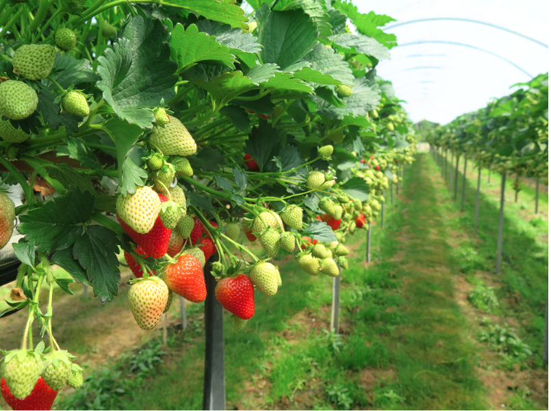 스크린샷 2023-11-22 20.41.01.png