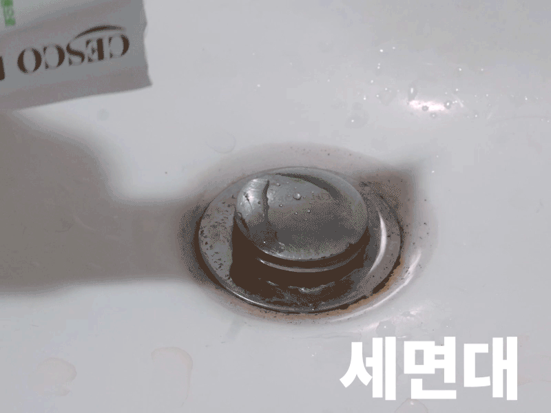 10_세스코.gif