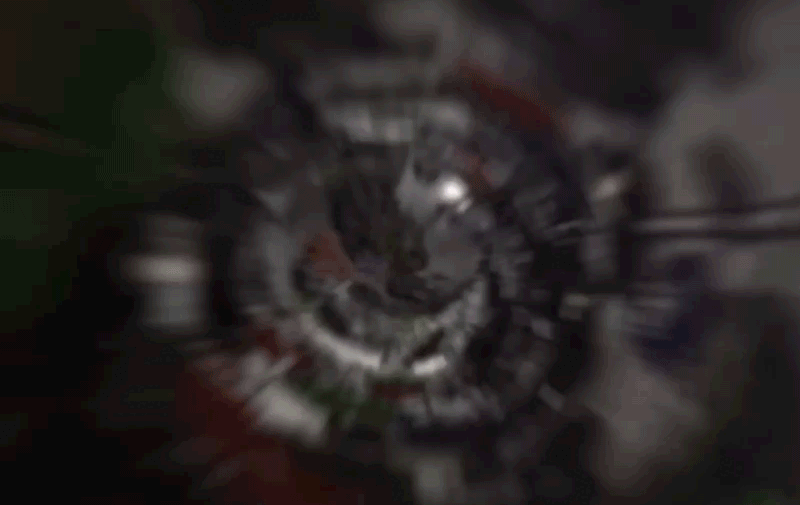 15_세스코 (2).gif