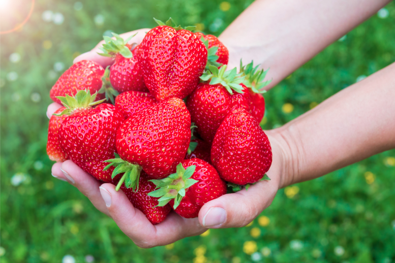 스크린샷 2023-11-22 20.51.08.png