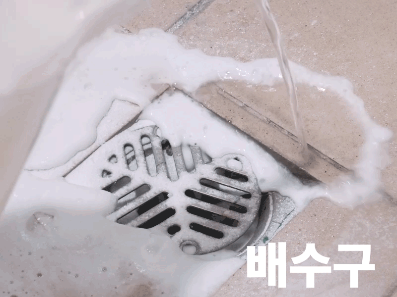 13_세스코.gif