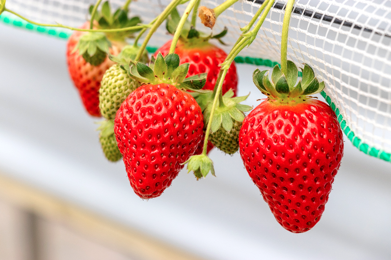 스크린샷 2023-11-22 20.42.03.png