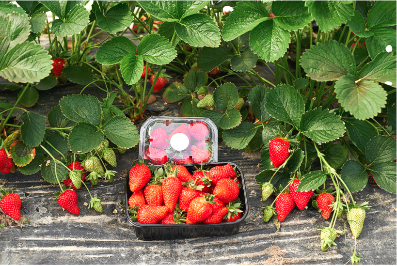 스크린샷 2023-11-22 20.39.17.png