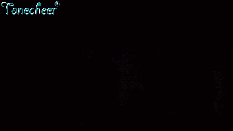 캣츠01.gif