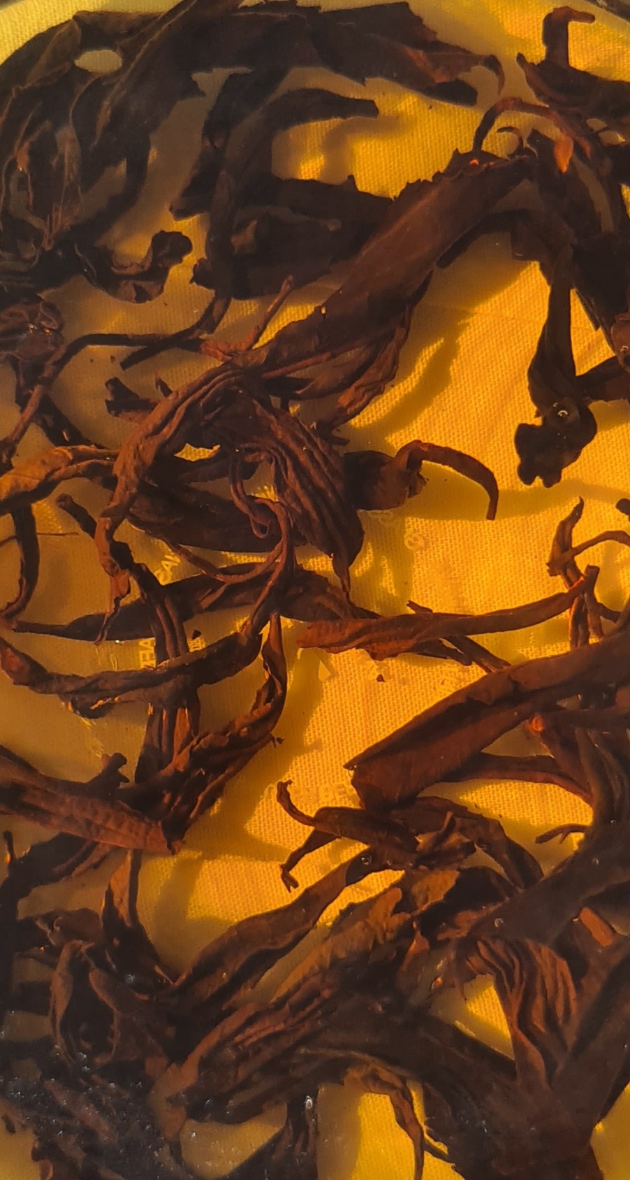 20230823_105123.jpg