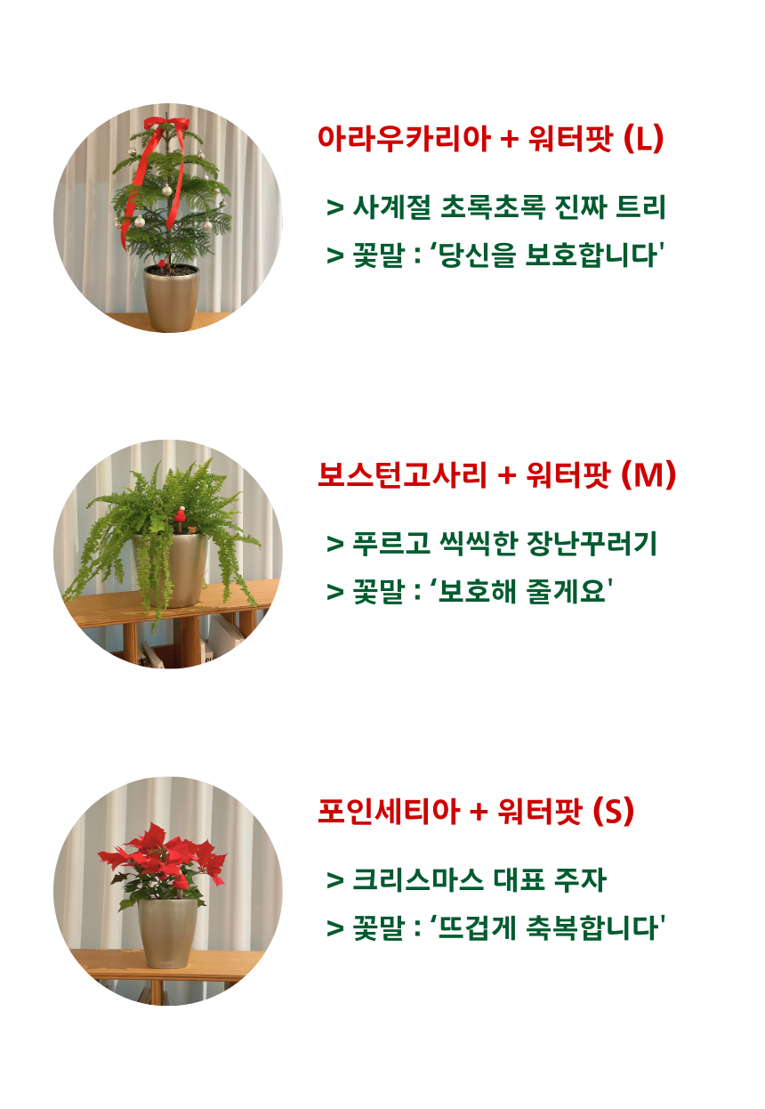 แแ
ฅแทแแ
ฎแแ
กแแ
ตแซ.png