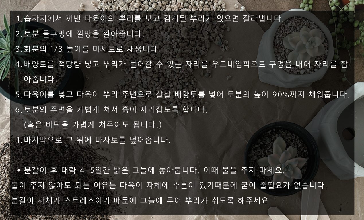 나만의 감성있는 홈가드닝 (33).png