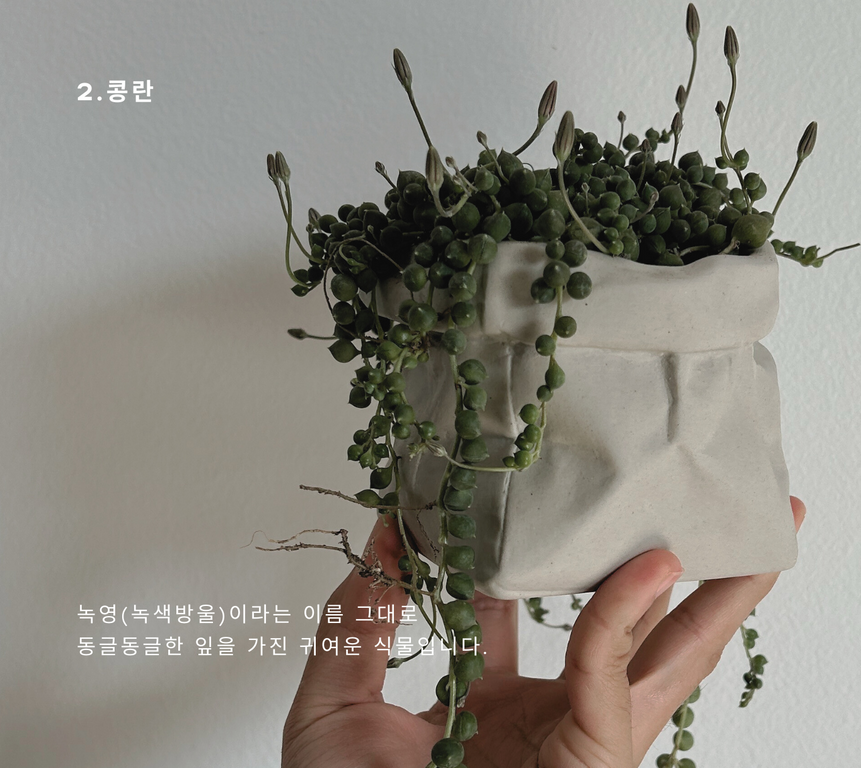 나만의 감성있는 홈가드닝 (42).png