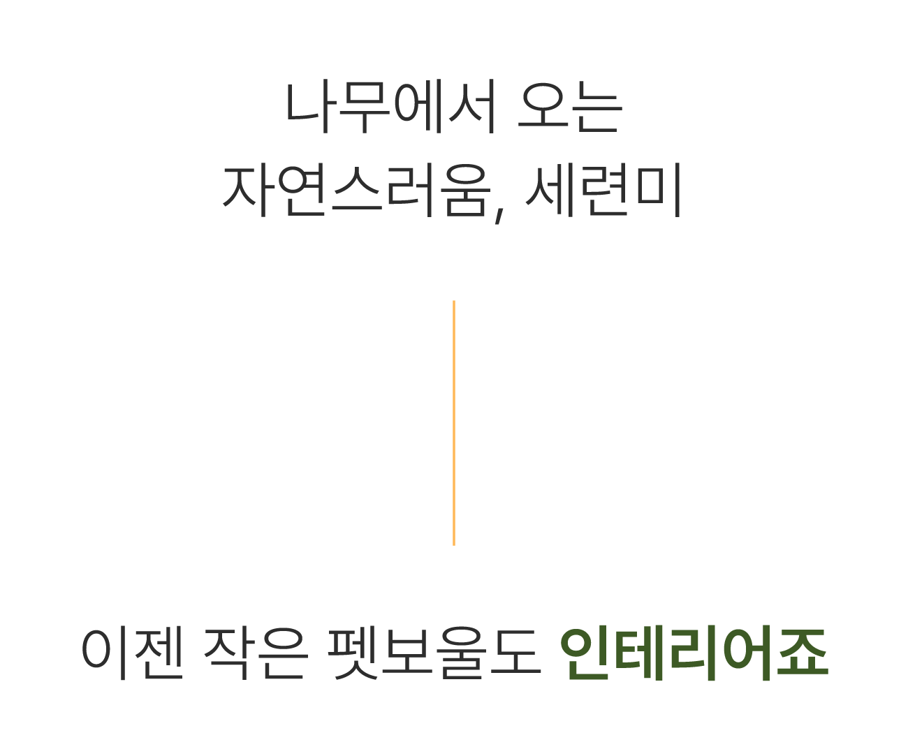 50.나무에서오는.png
