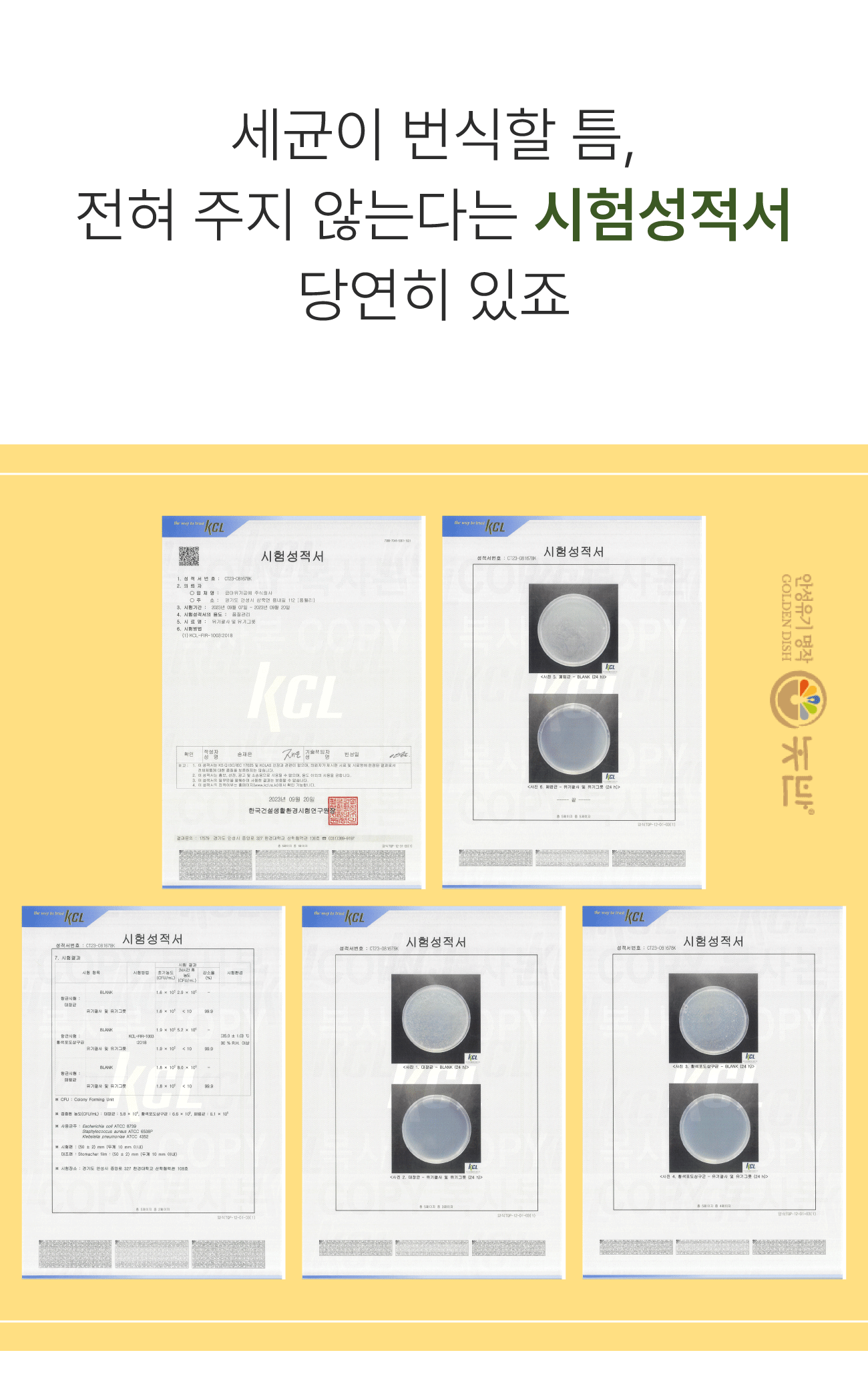 38.세균이번식할.png