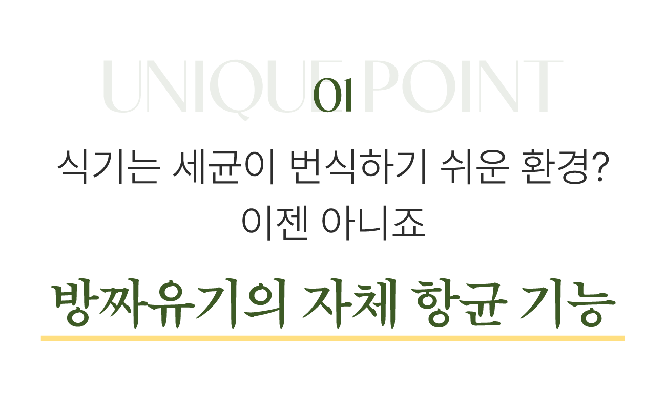 29.포인트1.png