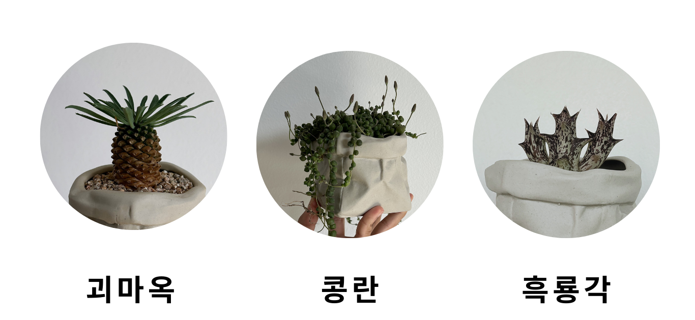 나만의 감성있는 홈가드닝 (45).png