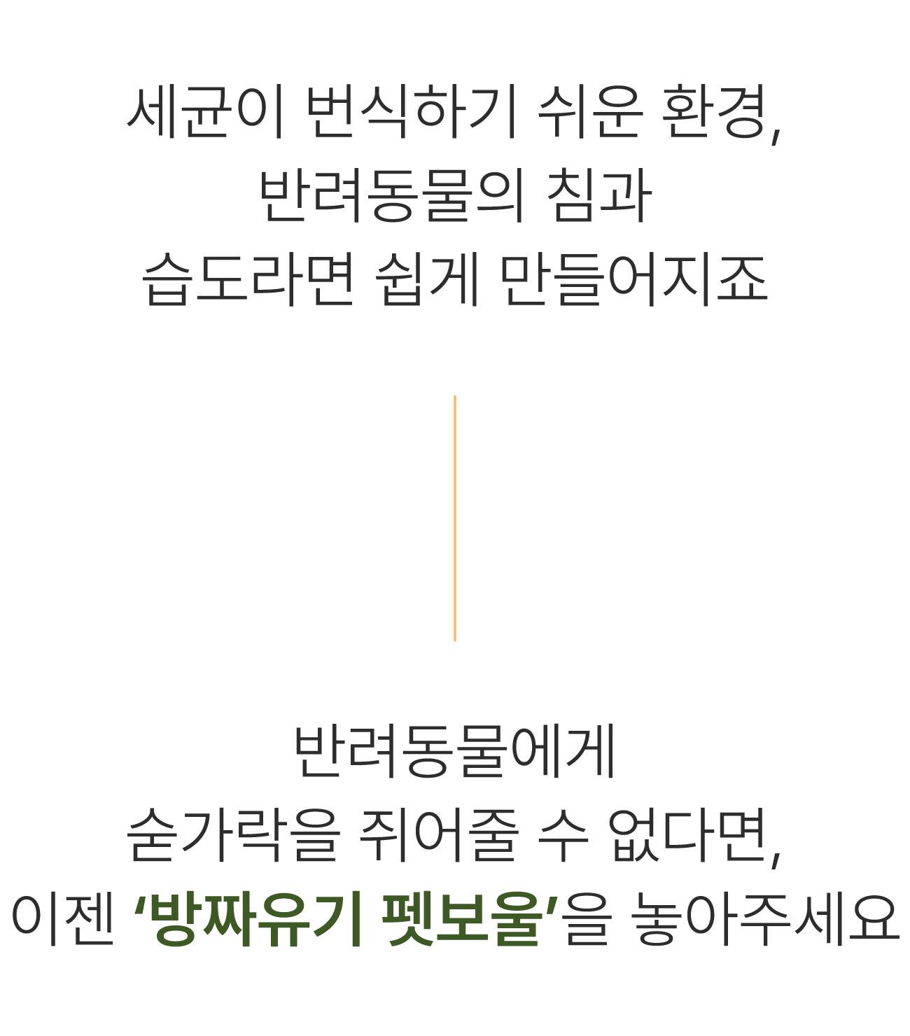 30.세균이번식하기.png