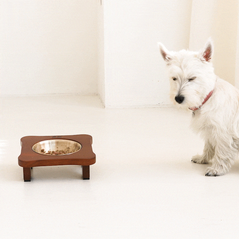 pet5.gif