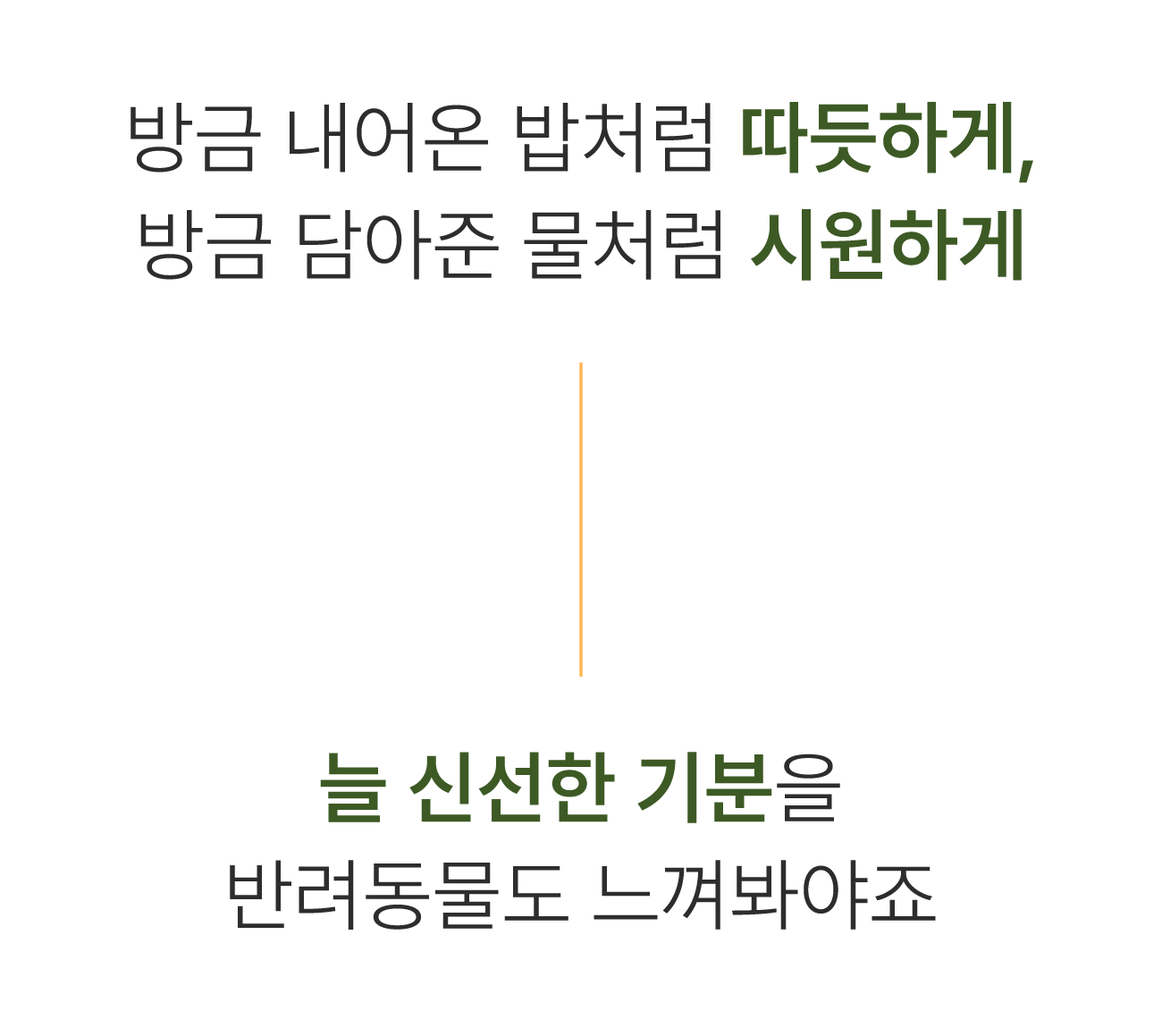 42.방금내어온.png