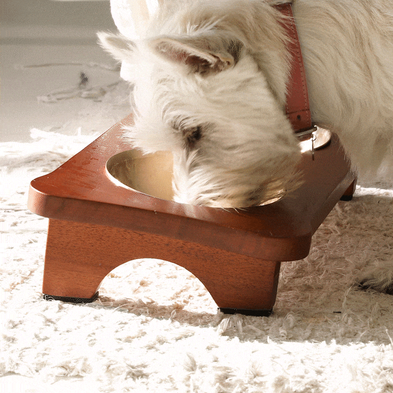 pet4.gif