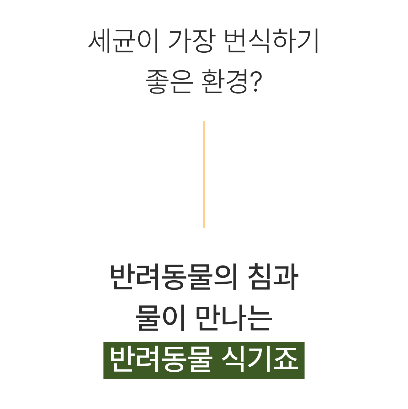 13.세균이가장.png