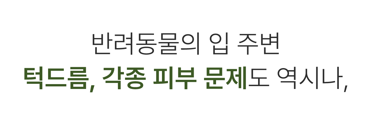 31.반려동물의.png