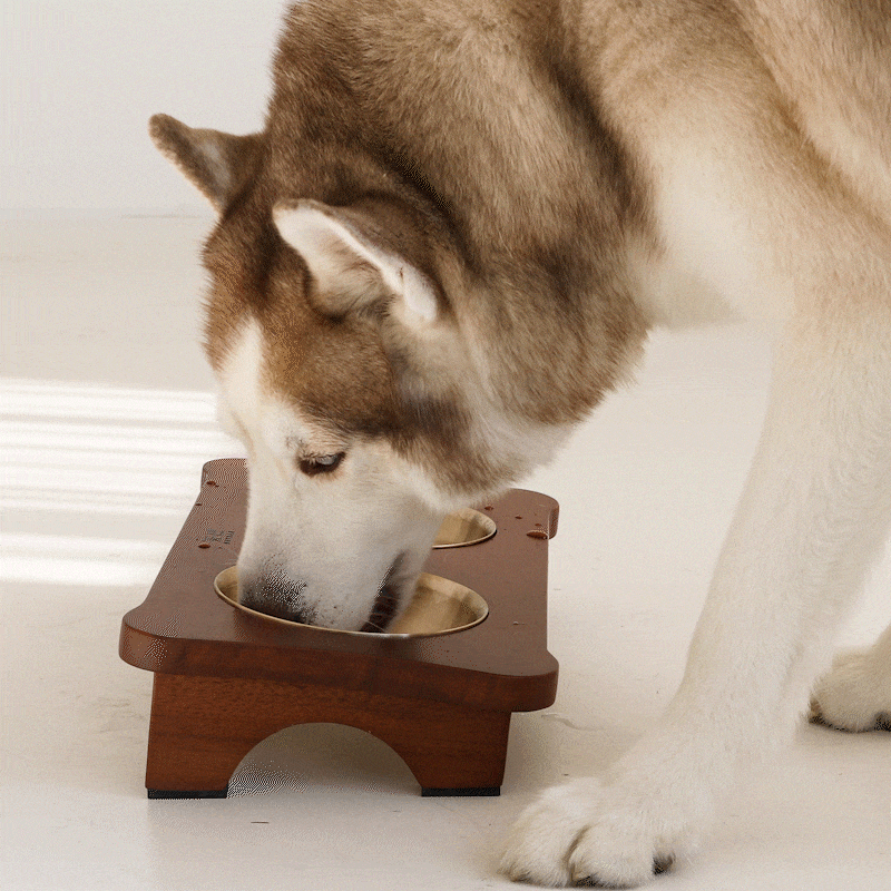 pet3.gif