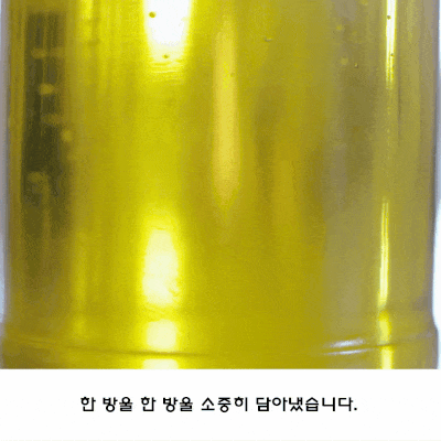 ezgif.com-optimize (6).gif