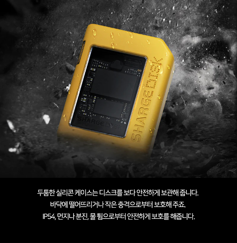 shage_ssd_20.jpg