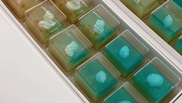 ezgif.com-video-to-gif (14).gif