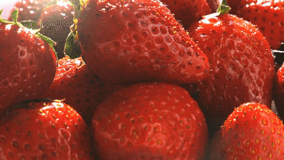 KakaoTalk_Photo_2023-11-28-23-47-36.gif