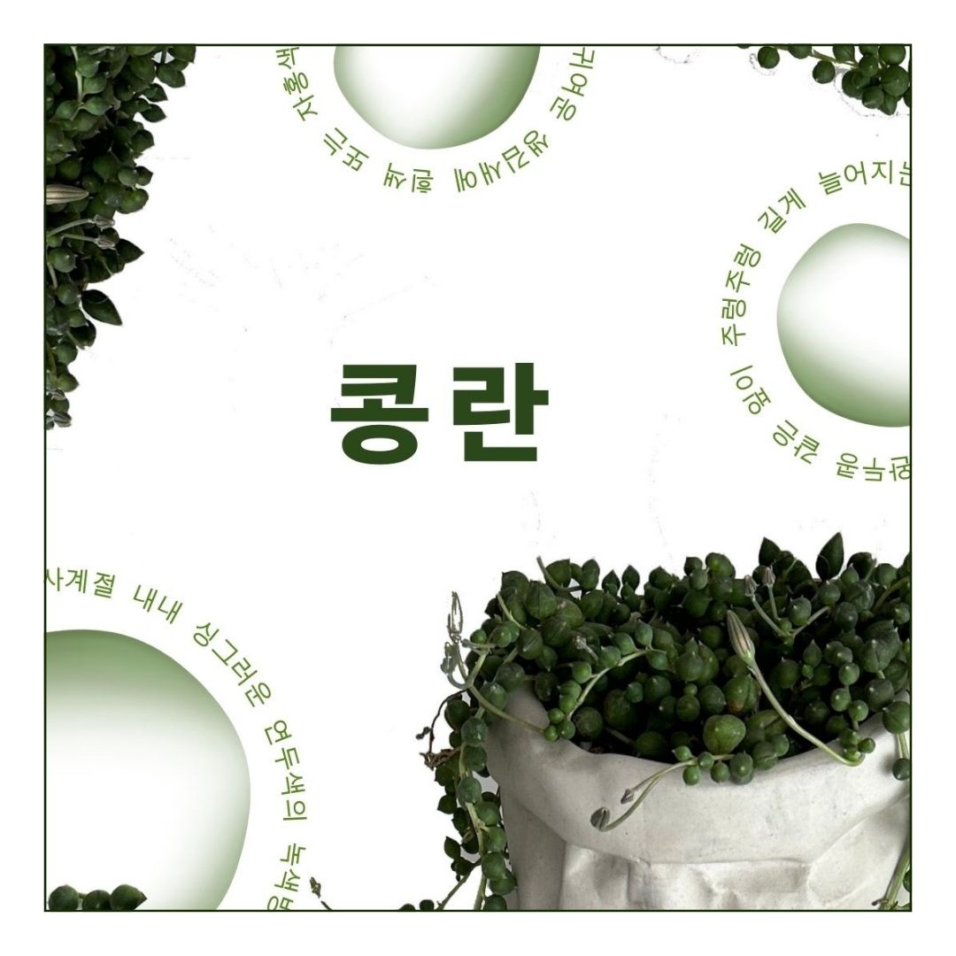 @piant_CUddle (6).jpg