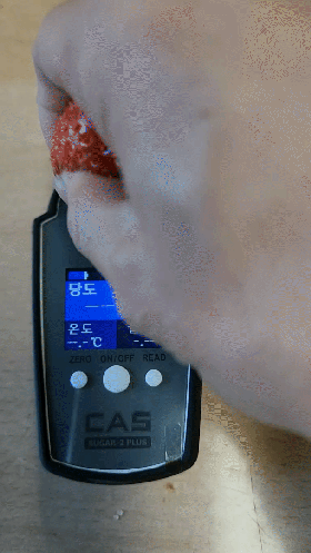 KakaoTalk_Photo_2023-11-29-00-24-59.gif