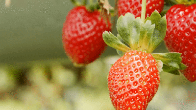 KakaoTalk_Photo_2023-11-29-00-12-02.gif