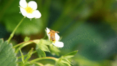 KakaoTalk_Photo_2023-11-29-00-21-53-1.gif
