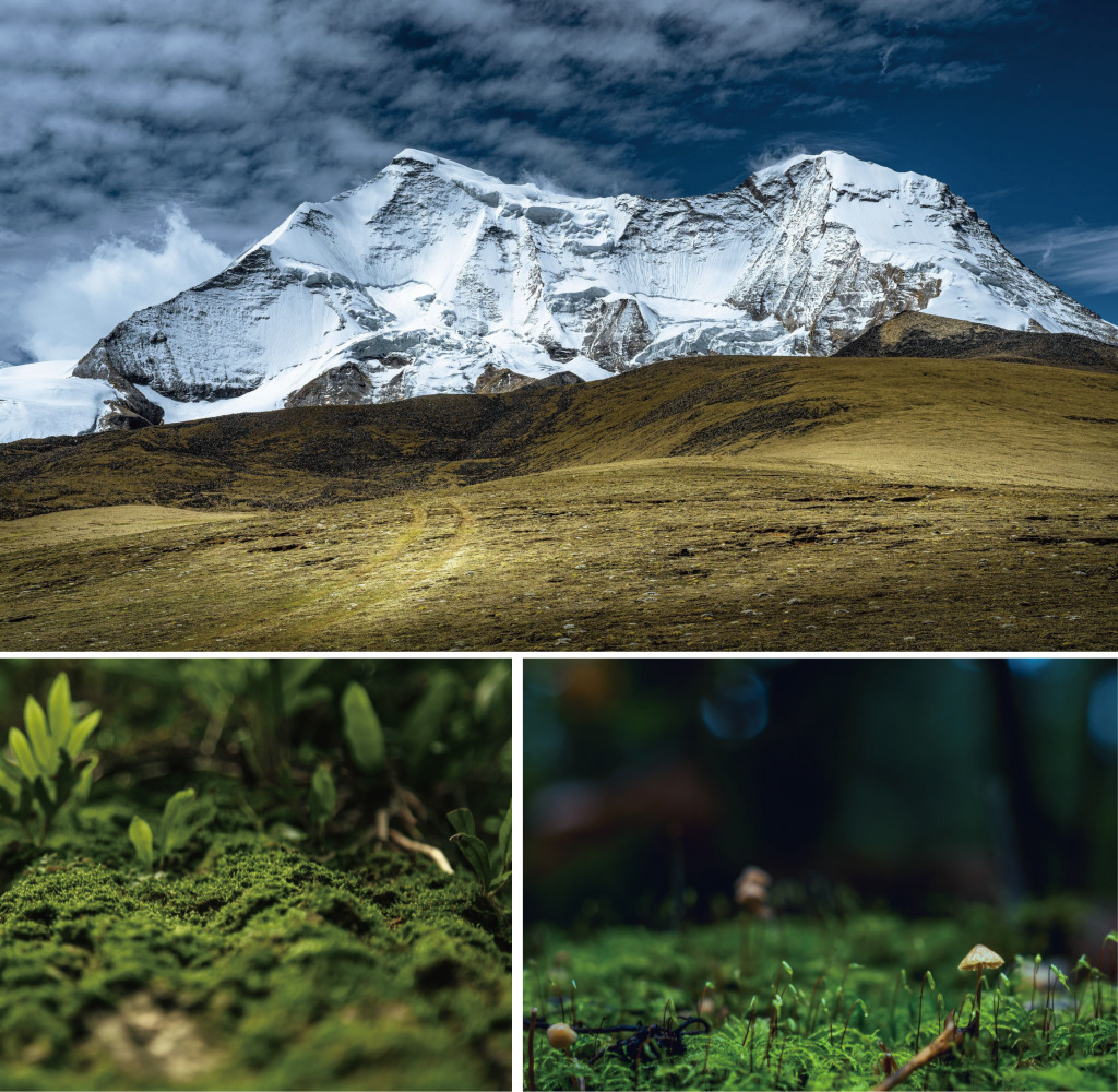 [최종]6_꿀동안 상세페이지-17.jpg