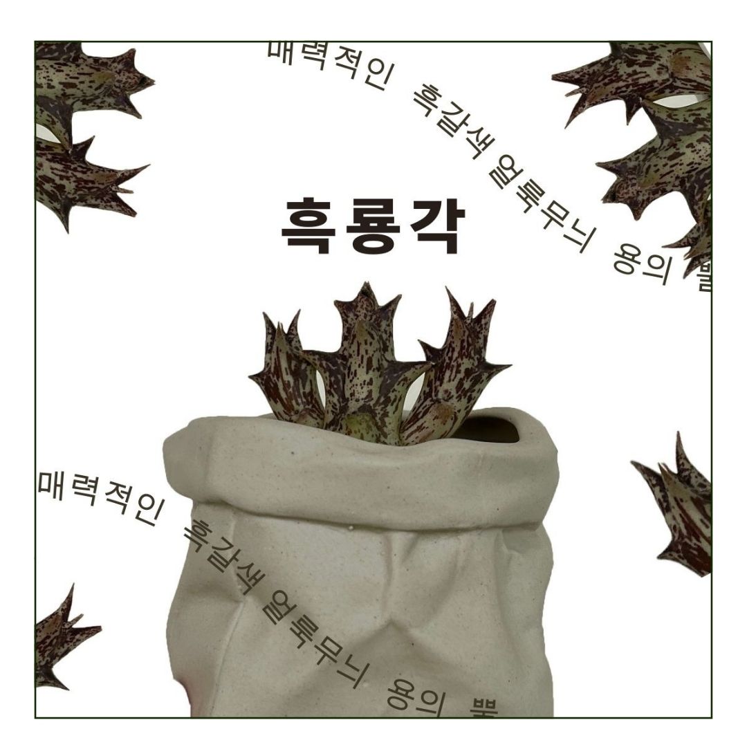 @piant_CUddle (5).jpg