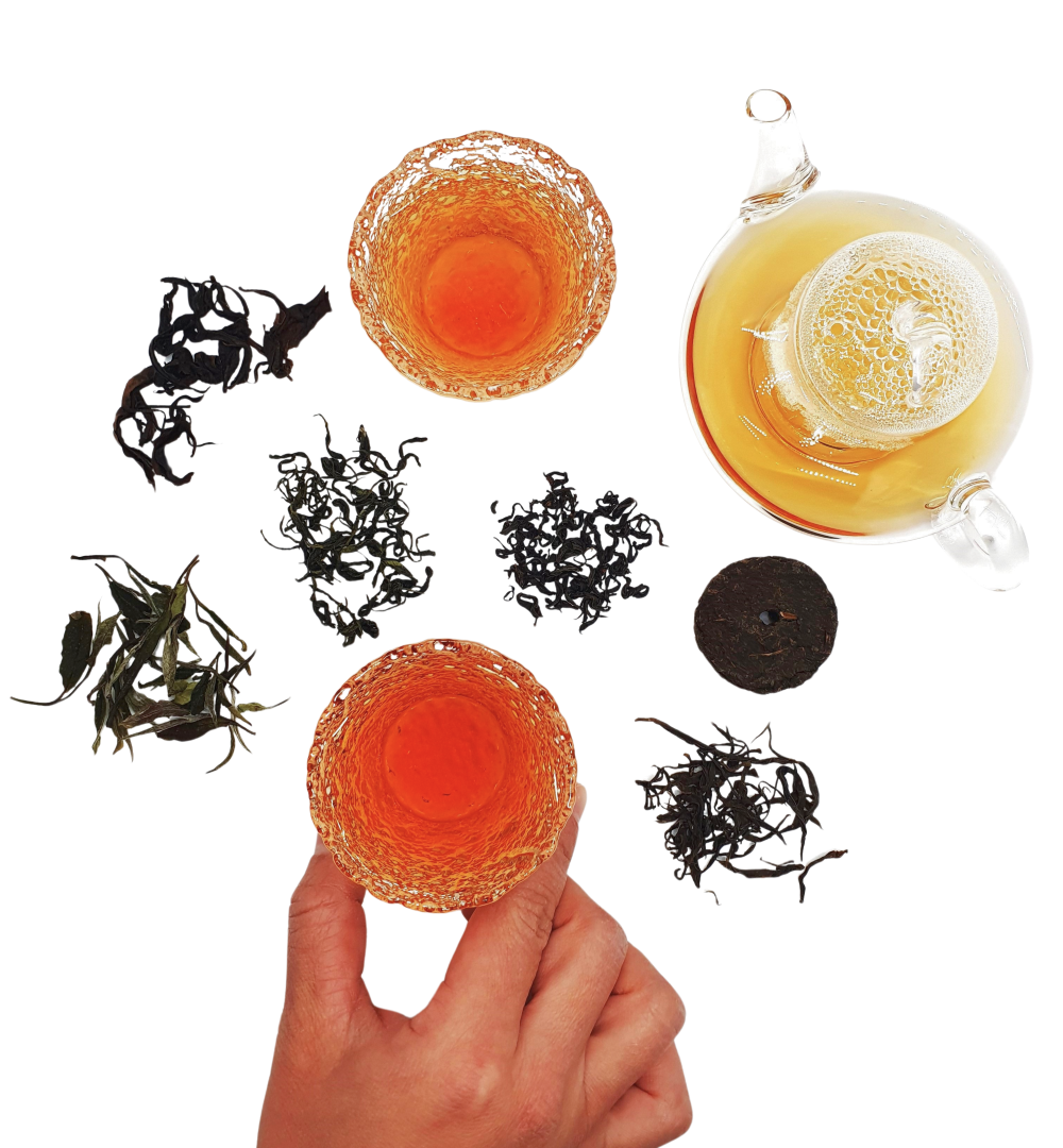 한국차 청태전 황차 세작 korean tea cheongtaejeon sejak hwangcha.png