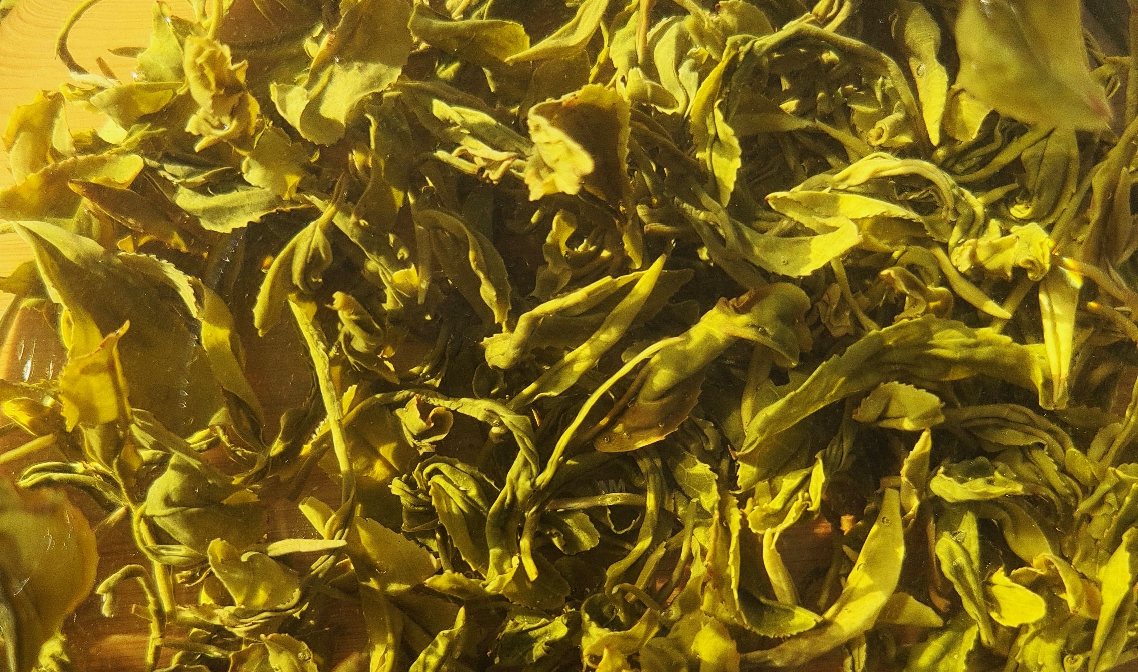 20230816_091902.jpg