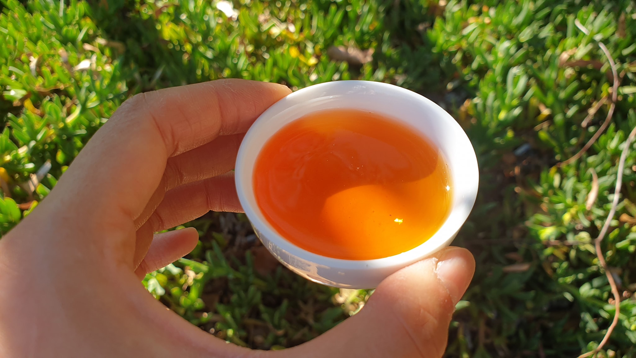 korean black tea.jpg