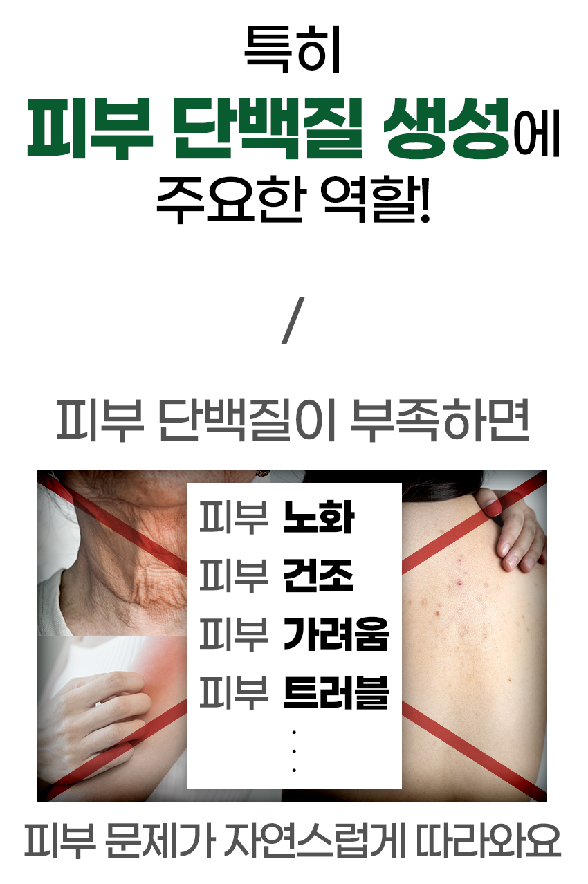 특히피부단백질생성에.jpg