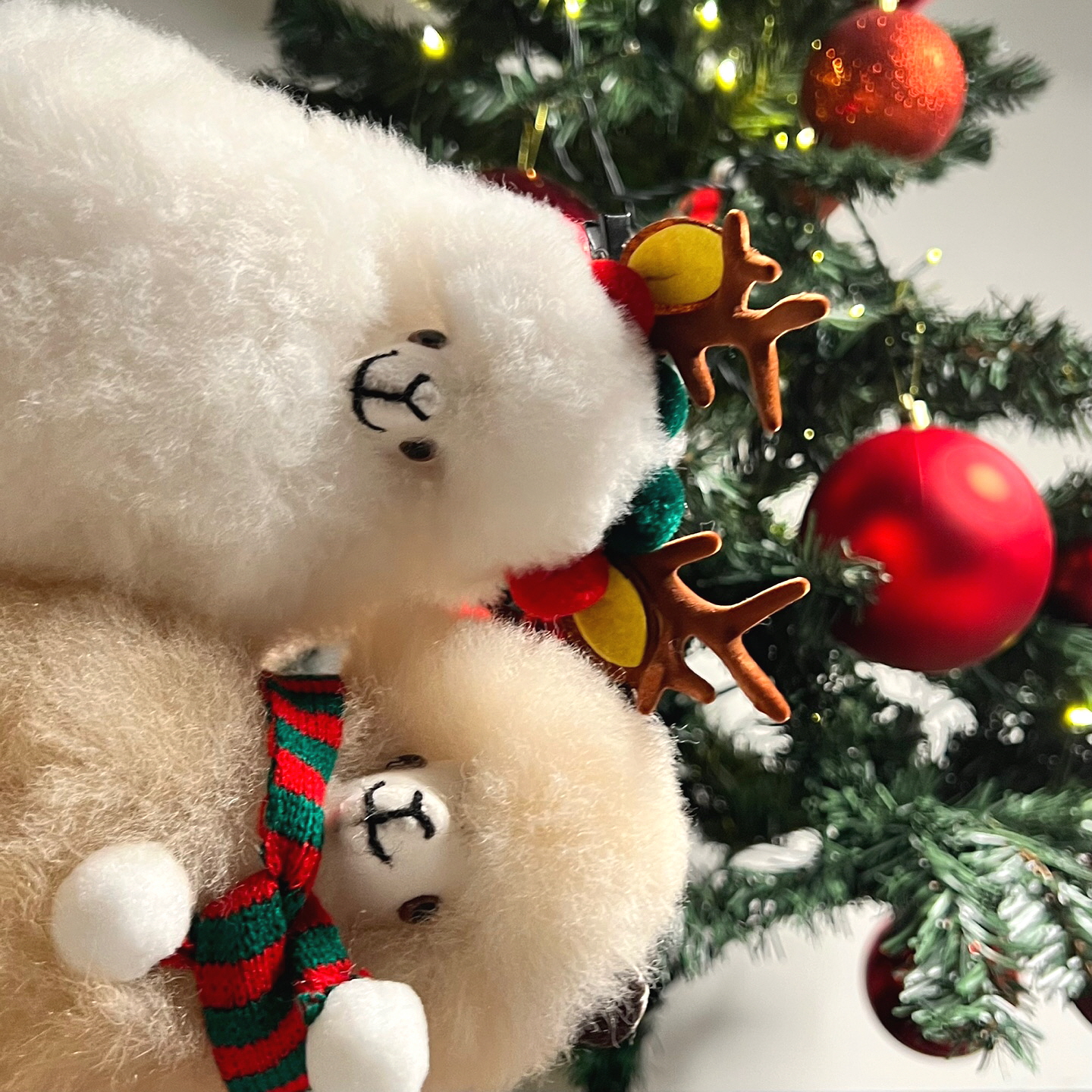 KakaoTalk_20231129_181712888_13(보정).jpg