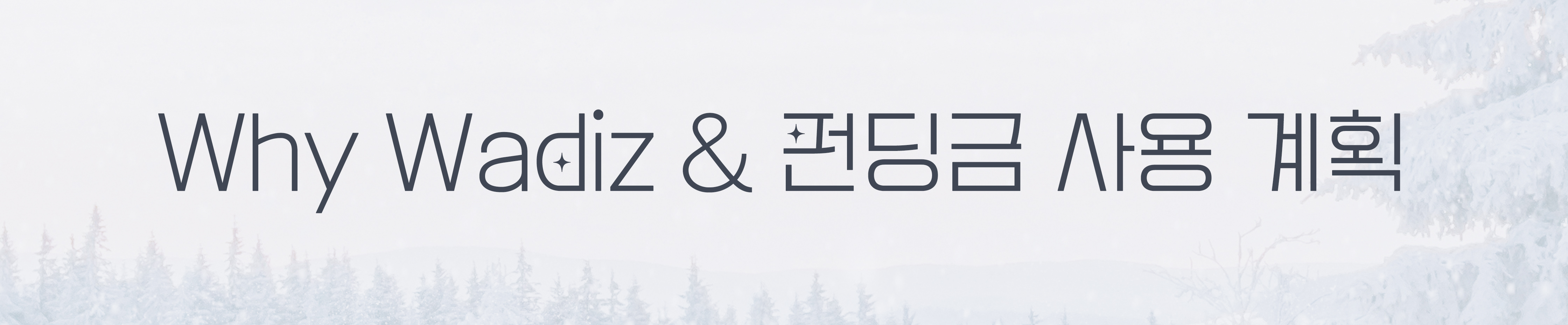 와이 와디즈.jpg