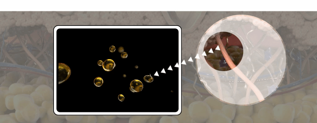 제목을-입력해주세요_ (22).gif