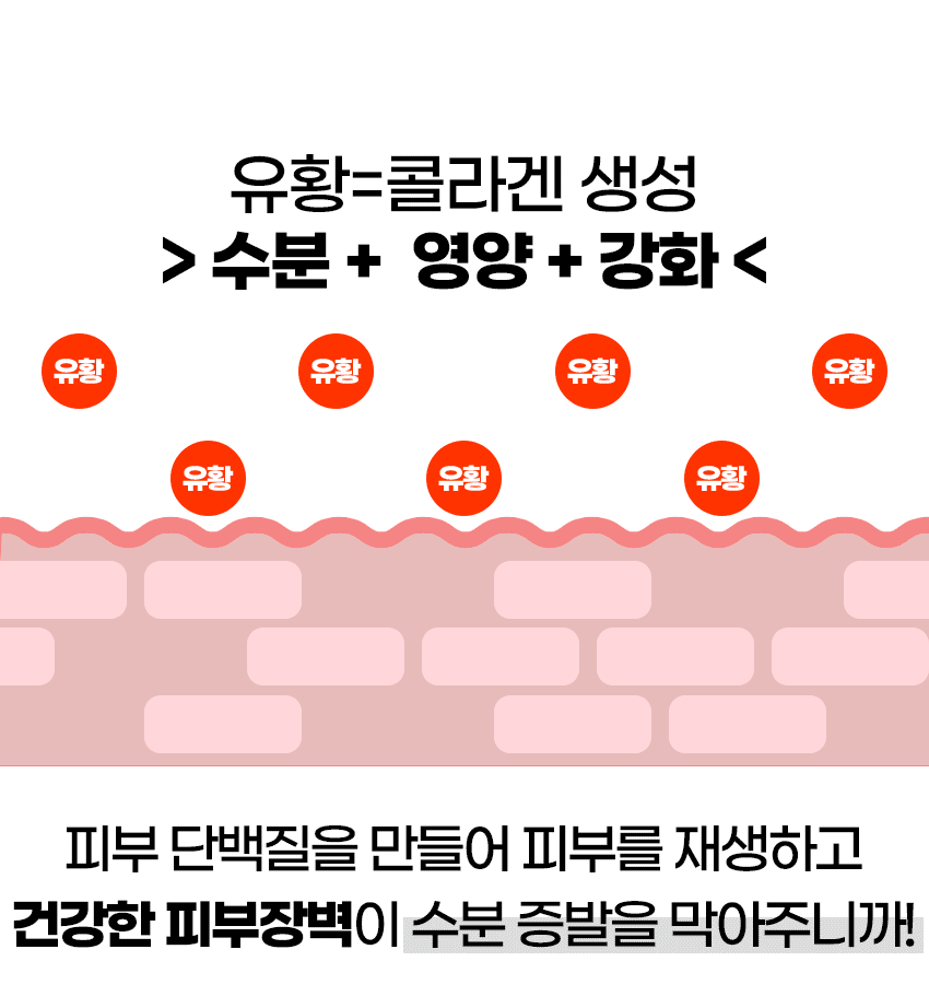 피부단백질보호및생성.gif