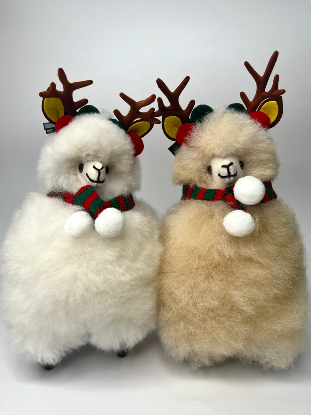 KakaoTalk_20231129_181739229_21(보정).jpg