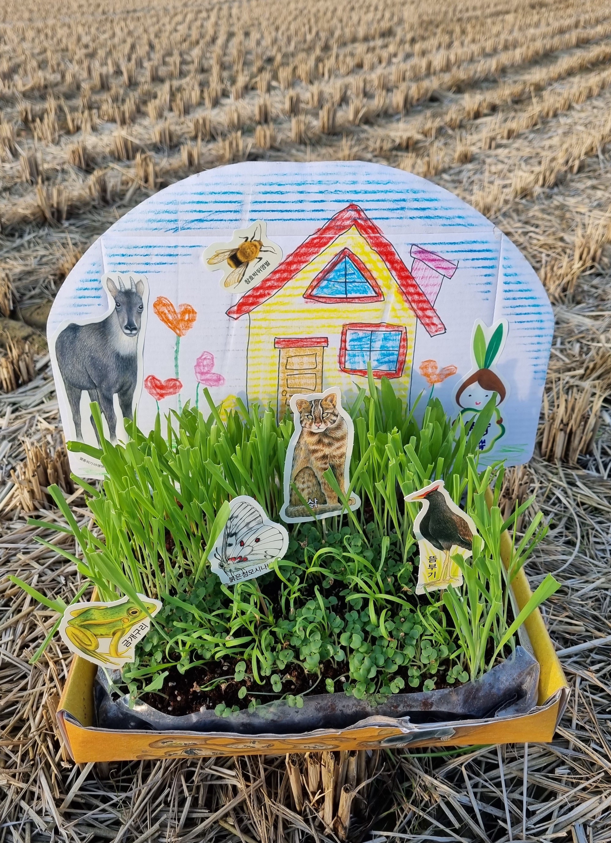 KakaoTalk_Photo_2023-11-29-12-37-41 003.jpeg