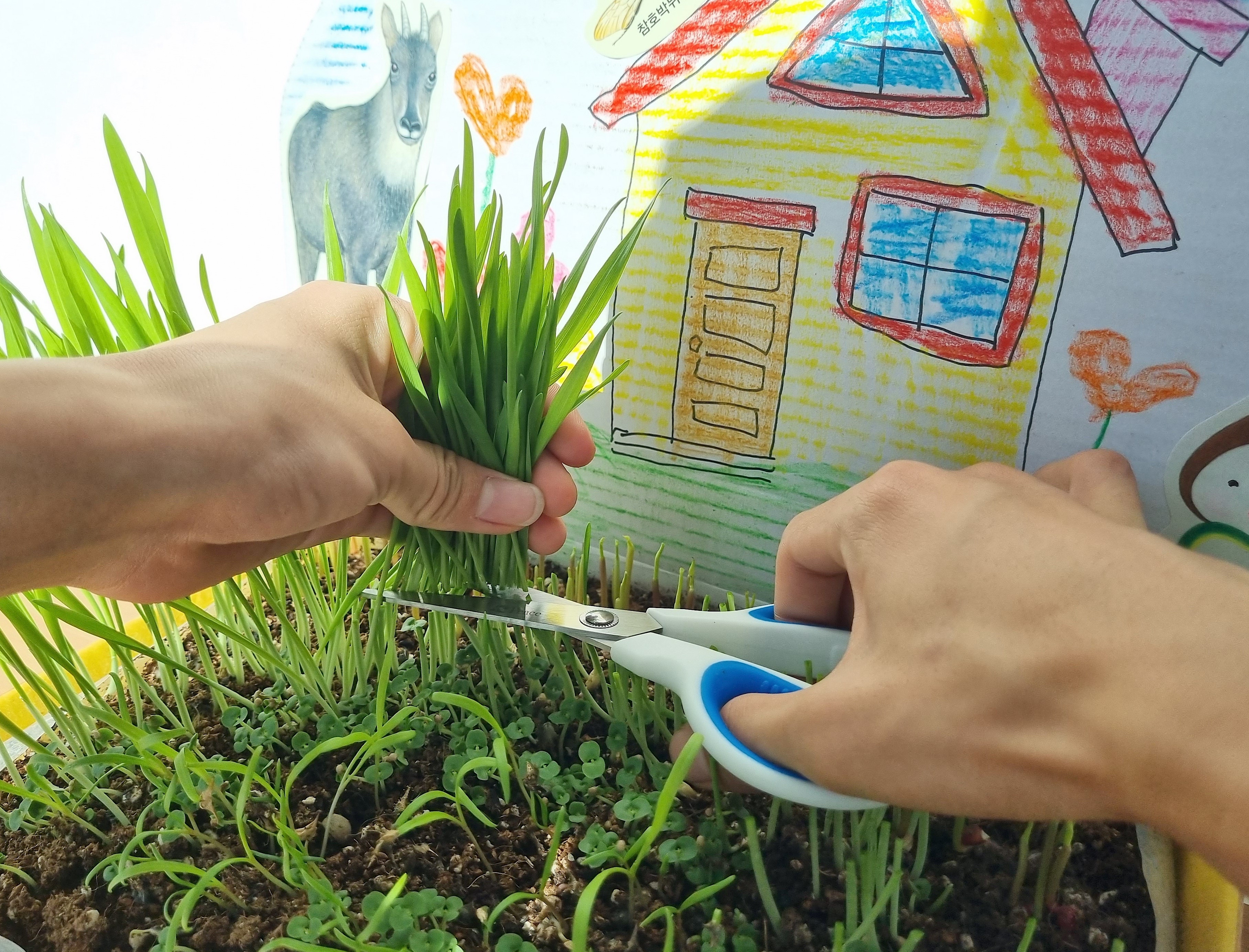 KakaoTalk_Photo_2023-11-29-12-39-38 008.jpeg