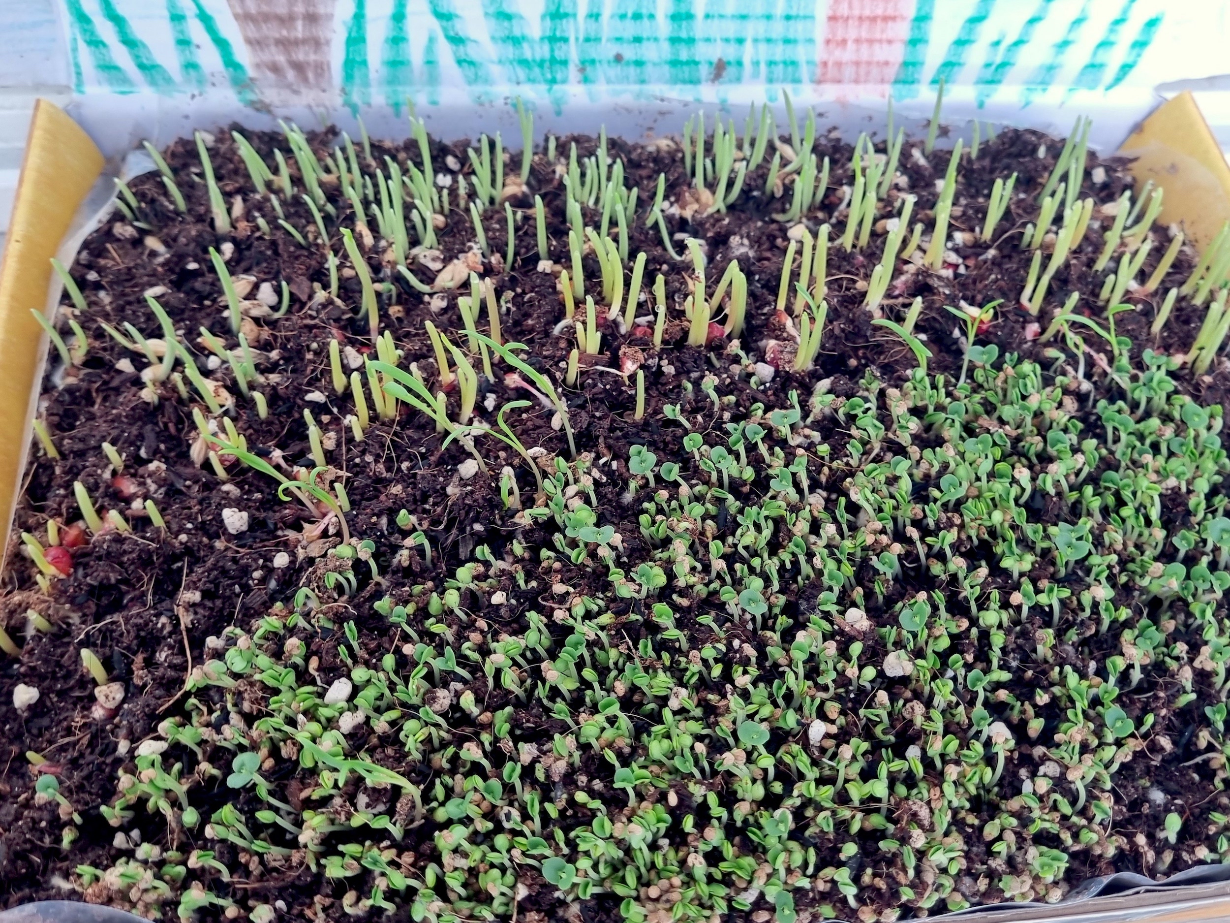 KakaoTalk_Photo_2023-11-29-12-39-37 005.jpeg