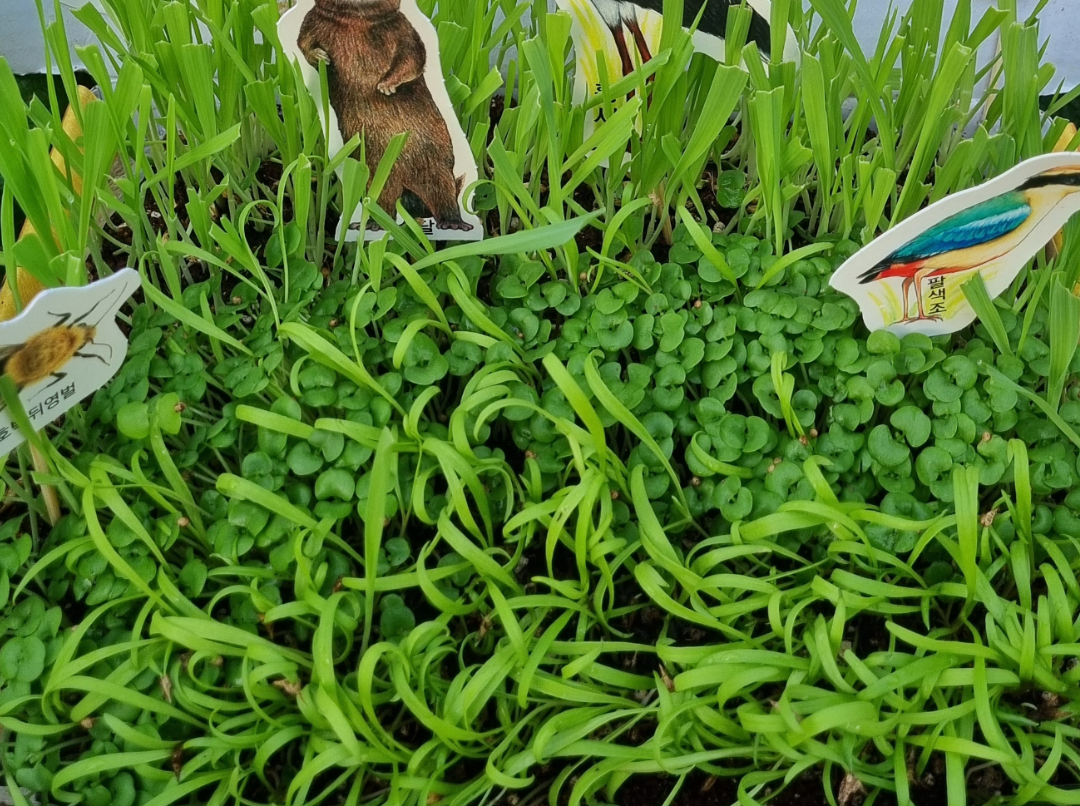 본문 - 수정 11 복사본.png