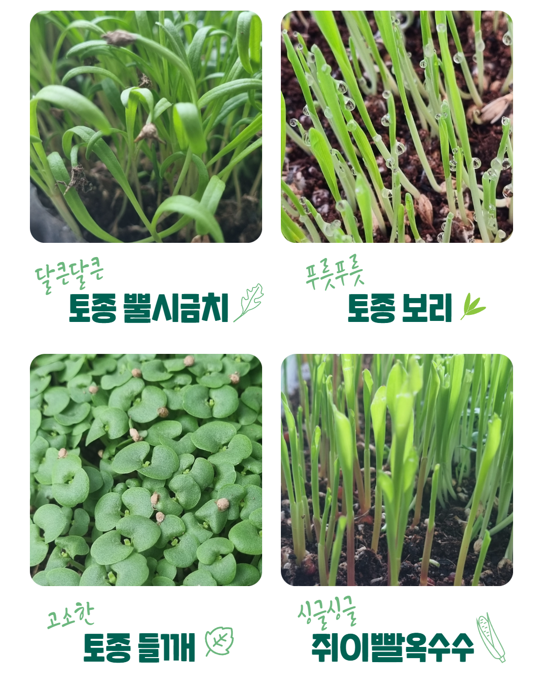 본문 - 수정.png