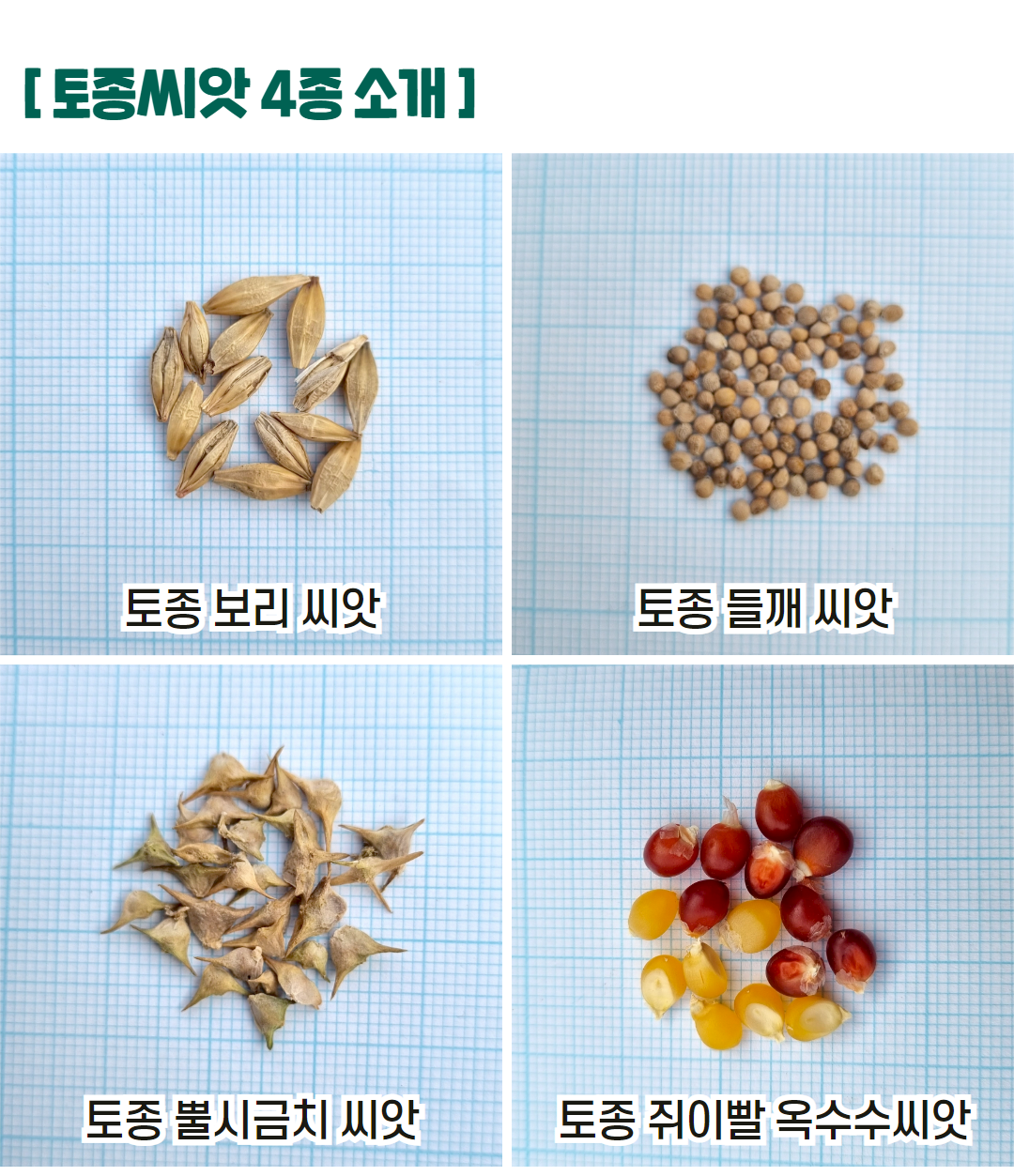 본문 - 수정 12.png