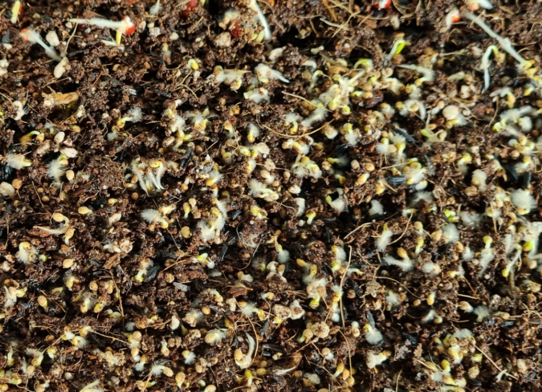 본문 - 수정 14.png